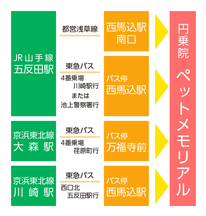 交通アクセスと大日殿周辺図