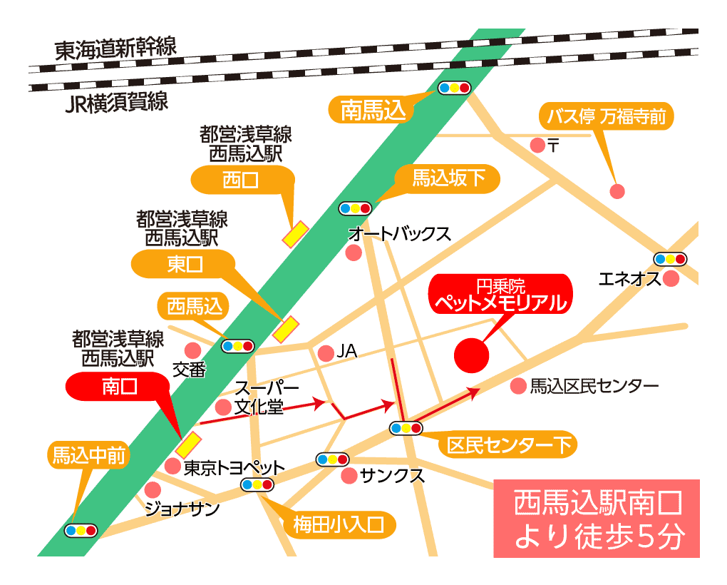 交通アクセスと大日殿周辺図