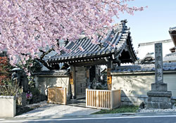 円乗院 | 山門 円乗院 | 山門